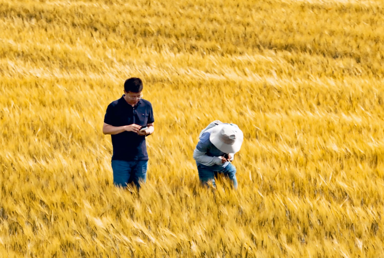 伙伴責(zé)任 伙伴責(zé)任.png